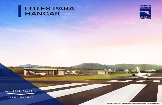 Aeropark - Lotes Aeronáuticos - 100% VENDIDO 